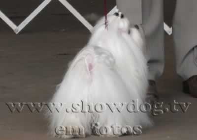 Clique sobre a foto para fechar